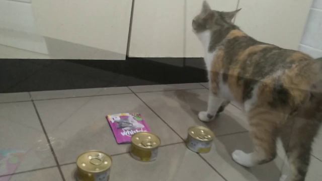 Мусе исполнился годик совершеннолетия смотреть онлайн