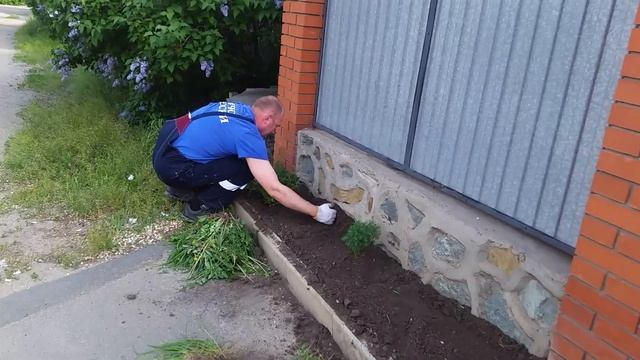 Ой ти какой молодец- муж высадил цветочки. Мамочка покрасила почти весь забор? смотреть онлайн