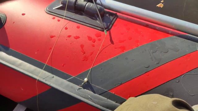 Рыбалка на леща на Волге.