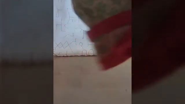Одежда моего беби бона 2017 смотреть онлайн