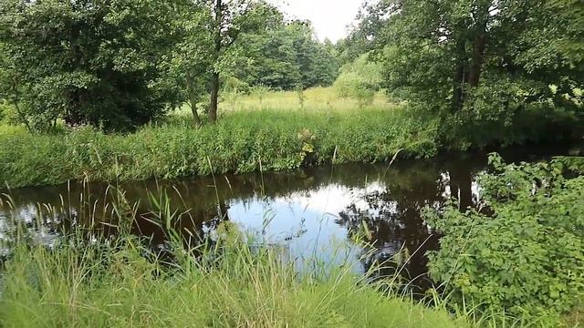 Люби себя правильно| Люби себя с пониманием кто ты есть