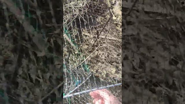 Рыбалка 2023!!! Лучшая рыбалка в новом году!!! смотреть онлайн