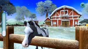 Мультики про лошадок. Мультик для девочек про лошадь. Ухаживаем за животными лошадками. Мультики