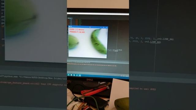 Fruit recognition and classification using Python смотреть онлайн
