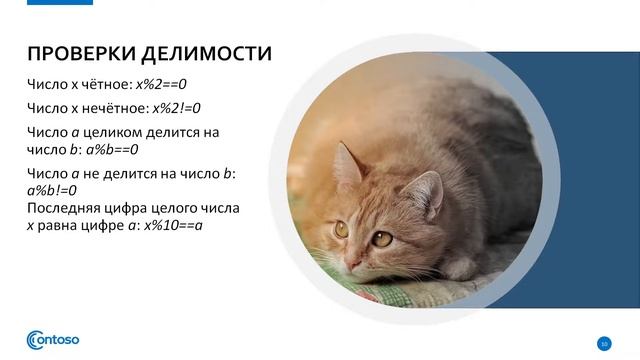 Образовательный трек "Основы Python". Лекция №2: Ветвления. смотреть онлайн