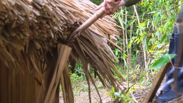 The 70 Day Process Of Building A Garden Into A Fairyland, How Things Change After More Than 2 Month