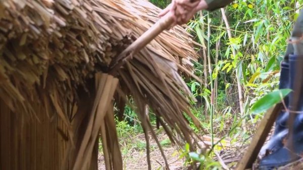 The 70 day process of building a garden into a fairyland, How things change after more than 2 month