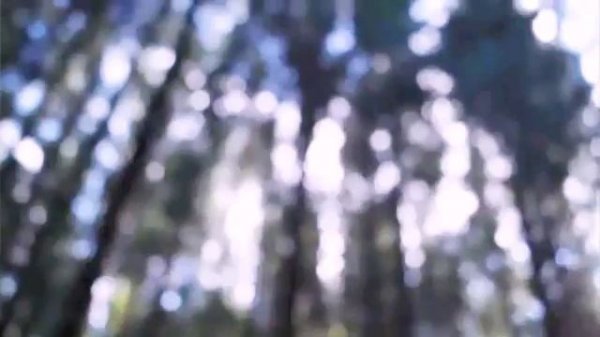 песня Миша Смирнов мечта