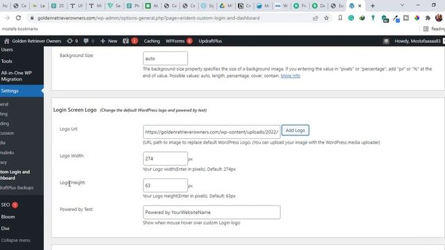How to custom the login page in WordPress смотреть онлайн
