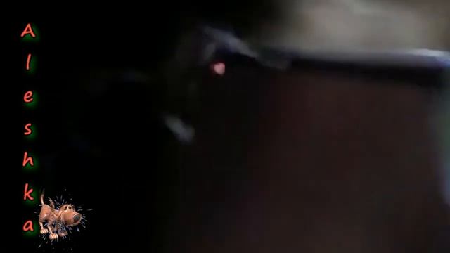 Собаки открывают двери. смотреть онлайн