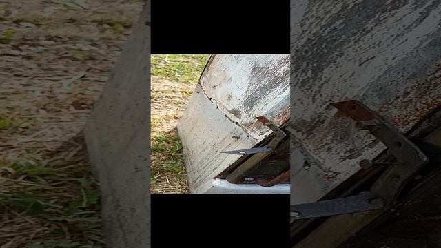 Мангал из газовой плиты смотреть онлайн