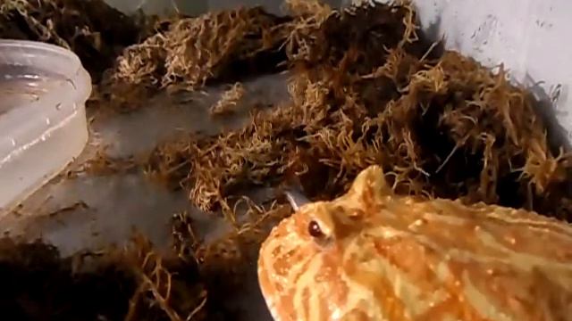 Просто АМ смотреть онлайн