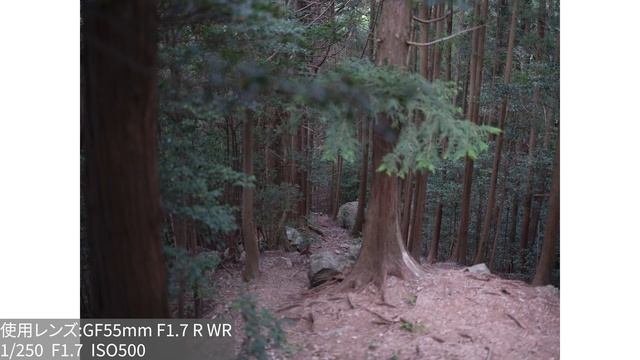 【実機レビュー】これぞ本気の中判ミラーレス「FUJIFILM GFX100 II / GF55mm F1.7 R WR」で実写検証して来ました！ смотреть онлайн
