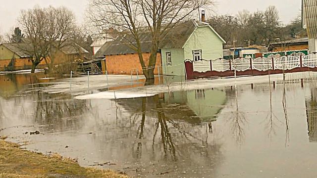 паводок в Столинском районен Брестской обл. апрель 2013 г. смотреть онлайн