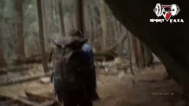 Любовь к животным