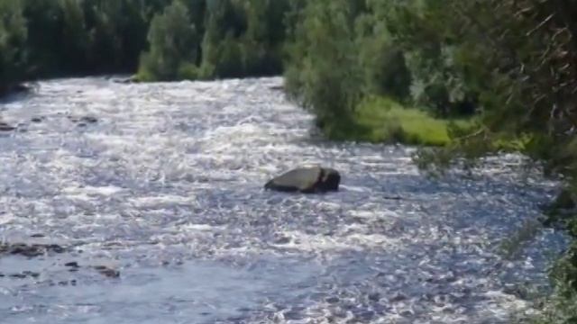 Охота и рыбалка в Карелии1 смотреть онлайн