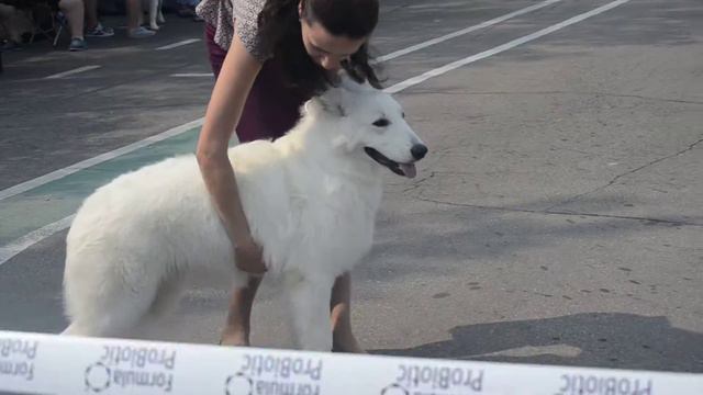 Перово 24.07 смотреть онлайн