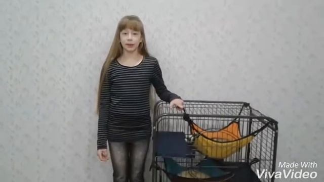 #Тег знакомство♡♡♡ смотреть онлайн