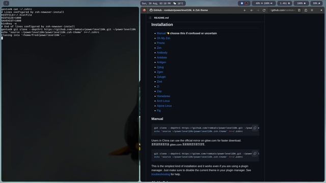 Dont Use Oh-My-ZSH - Its slow! Do it manually instead смотреть онлайн