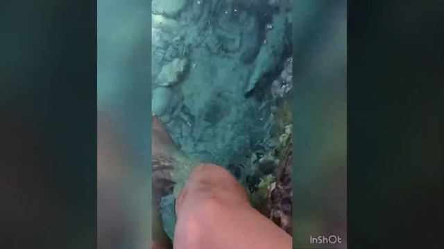 Happy feet by the Red Sea: Hurghada, Egypt: PinoyNed Journey смотреть онлайн
