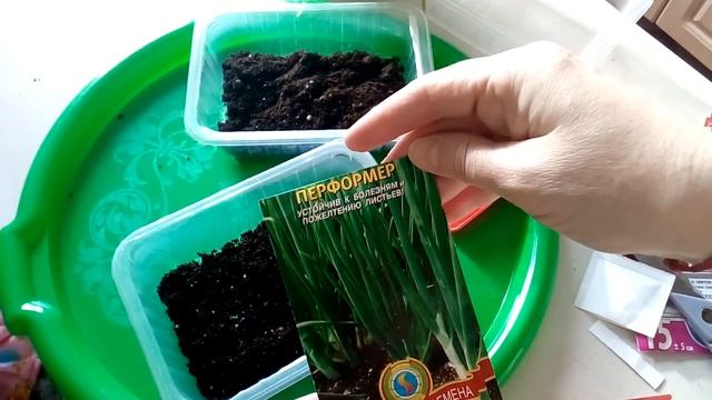 "Огород на балконе или подоконнике" - посеем вместе семена перца, помидоры, лук и кальцеолярия смотреть онлайн