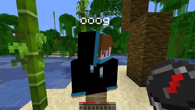 Minecraft Manhunt Datapack 1.16.4! (Tracks runner's nether portal, Gives compass when you die)
