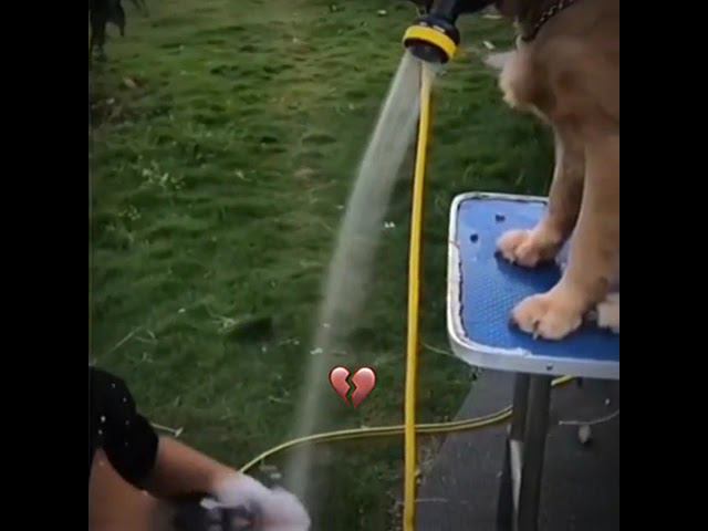 И вдруг закончилась вода смотреть онлайн