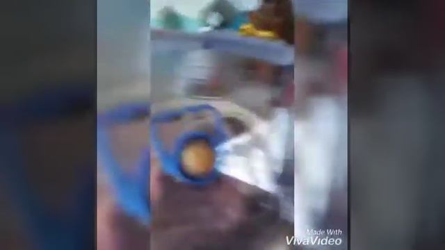 Казы/деликатес казахский смотреть онлайн