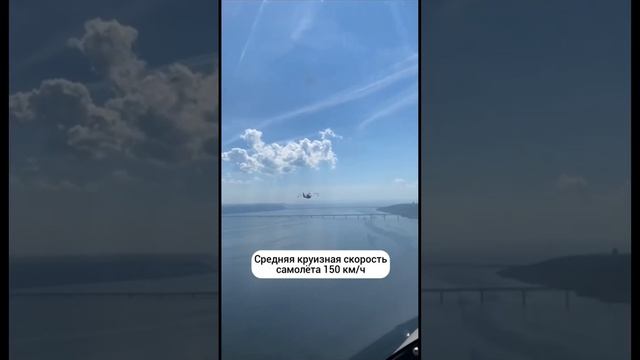 150 км/ч — скорость полёта, с которой летают одни из самых быстрых птиц на свете и… BOREY! #shorts