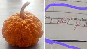 Фото подписчиков Фактории (177 часть)