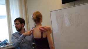 Кинезиотейпирование при боли в области лопатки