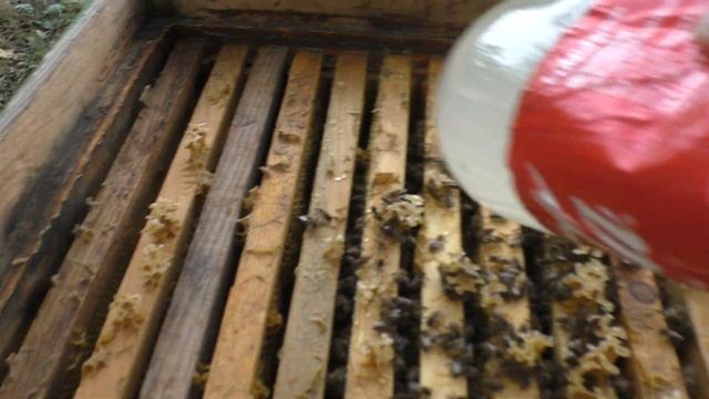 КОГДА И ЧЕМ ОБРАБАТЫВАТЬ ПЧЕЛ ОТ КЛЕЩА.#пчелы #клещ смотреть онлайн