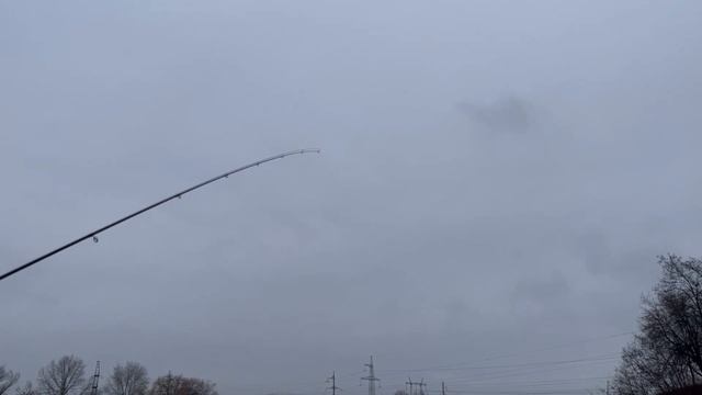 Спиннинг фаворит черный лебедь .Favorite Black Swan BSW1-6102SUL-HS 2.08м 0.8-4г