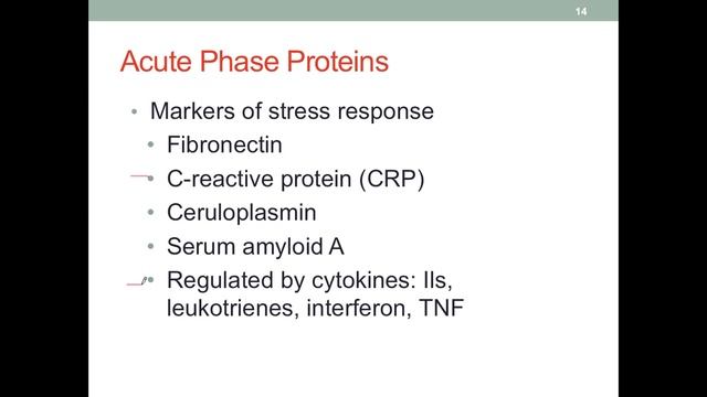 MNT CI1 Metabolic Stress смотреть онлайн