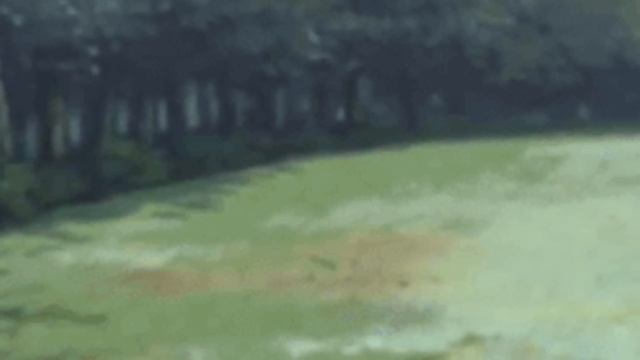 [Глобальная Миссия ФИНАЛ] Внезапный ПОВОРОТ В Жизни НАРУТО! | Альтернативный Сюжет Наруто смотреть онлайн