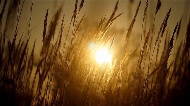 "Осенняя женщина". Елена Бажанова. смотреть онлайн