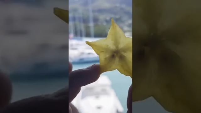 Экзотический фрукт Карамбола смотреть онлайн