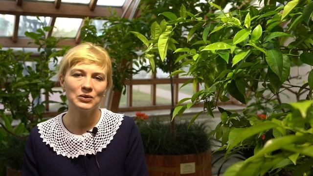Цитрусовый фреш. Ботаническая беседа. смотреть онлайн