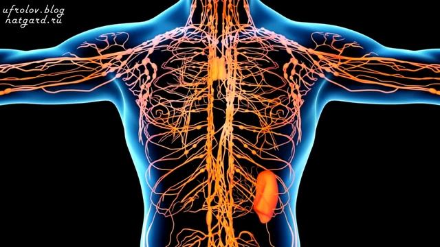 Секреты Успеха