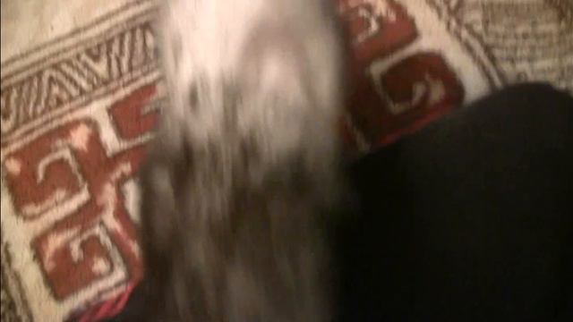 Хоря)) Немного милоты))))