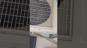 Midea MSR 12 HR non inverter