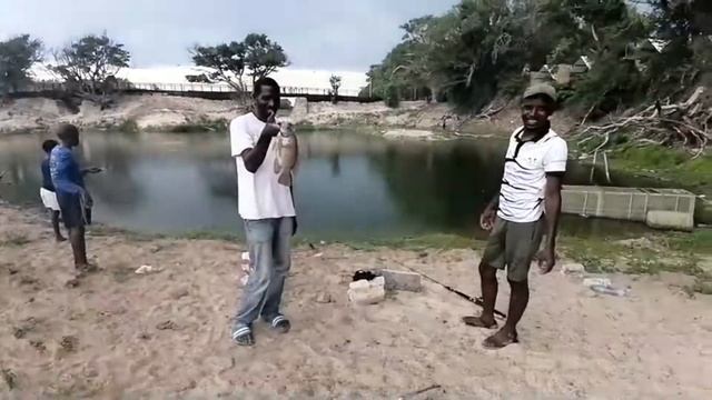 БОТСВАНА МАУН ОЗЕРО КРОКОДИЛОВ