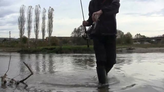 FishUp dragon fly 1 смотреть онлайн