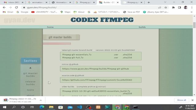 How to Install FFmpeg on Windows? смотреть онлайн