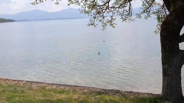 Съездили на озеро, Chiemsee (часть 1 ) смотреть онлайн