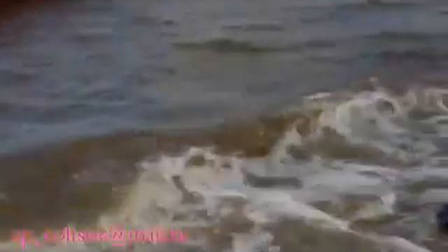 У моря, японского моря смотреть онлайн