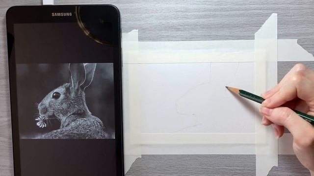How To Sketch Animals For Beginners | Using A Proportional Divider смотреть онлайн