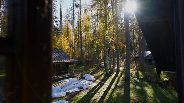 Everyday Life In A Nordic Log Cabin // Story 8 смотреть онлайн