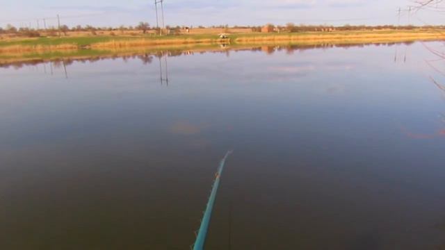 93. Тихая охота.( 8. 04.)