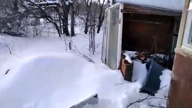 #ЕЙСК, #ДАЧИ Хозяин Аси, отзовись! 4 сутки у нас. ДЕЛАЮ в будке шире вход. Тайсон поместился! Гуляе смотреть онлайн